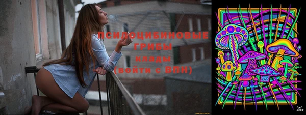 таблы Алексеевка